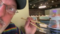 All Aboard the Sushi Train!